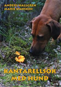 Bästa hundboken: Kantarellsök med hund