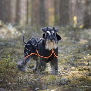 Bästa Regntäcket För Hundar 2022: Feel Active Kiruna Regntäcke