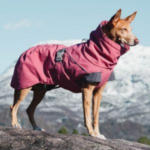 Bästa Hundtäcket: Hurtta Expedition Parka Hundtäcke